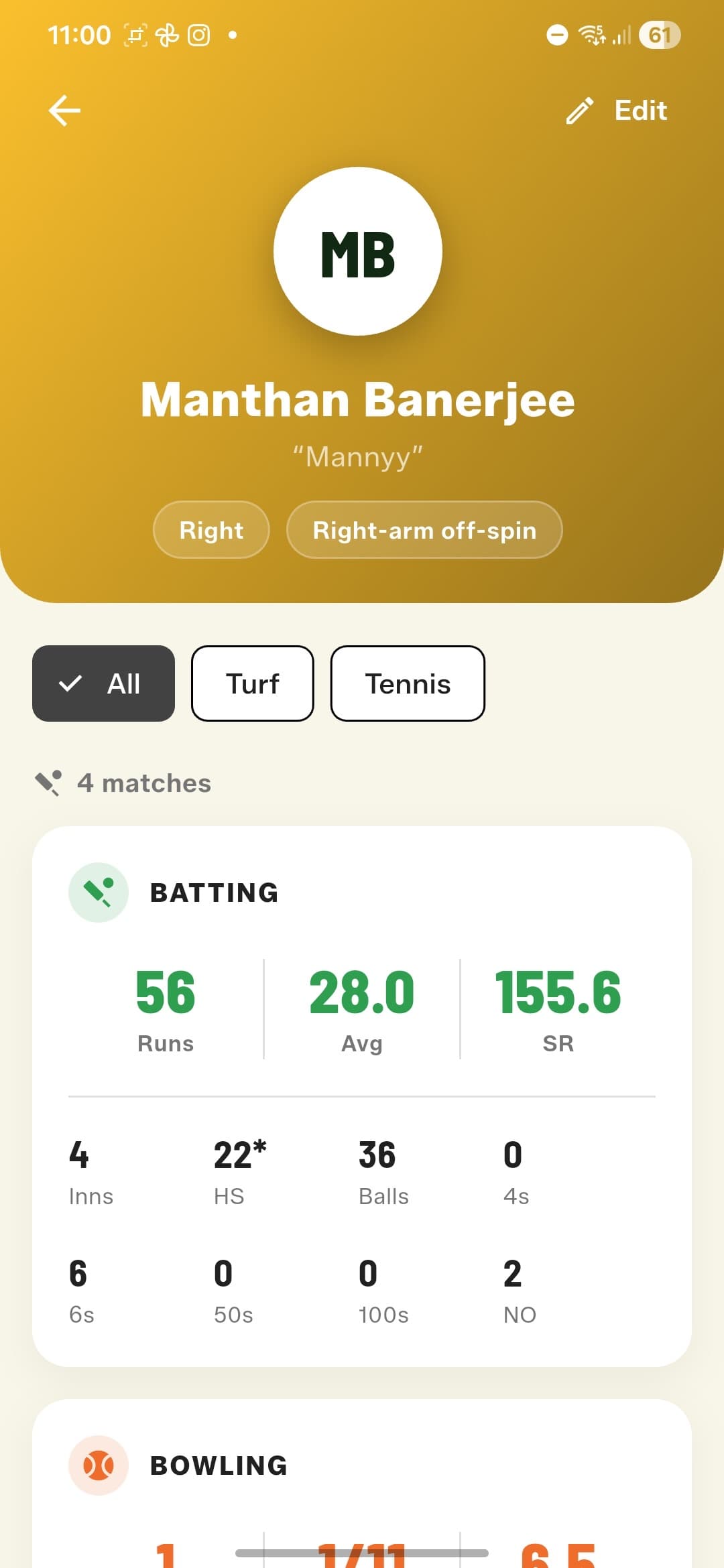 Player career stats in GullyCrix