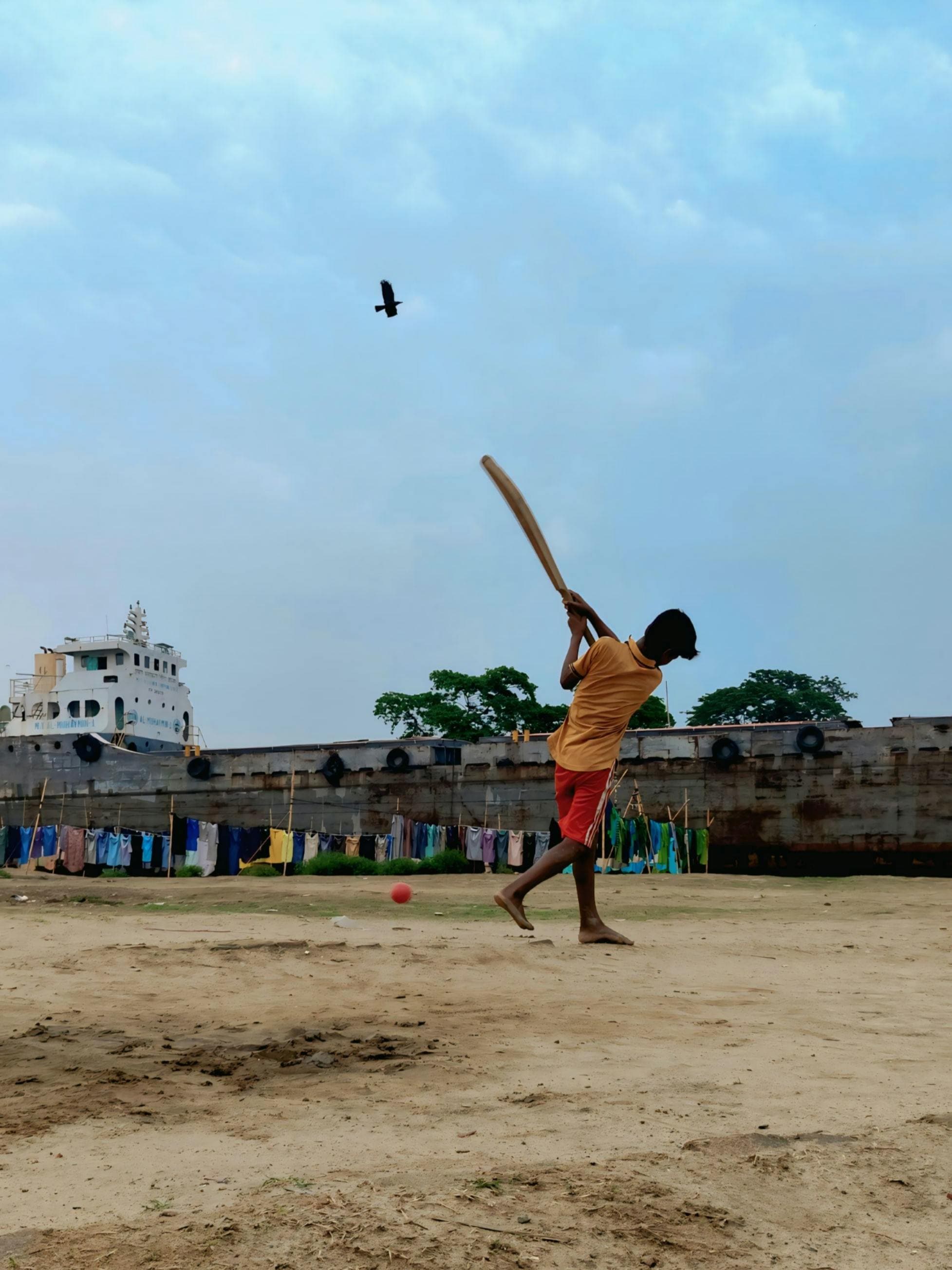 Cricket near the beach